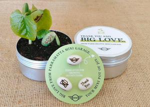 Growing Bean - Australian Made